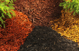 mulch and ground cover from Gosset Brothers Nursery