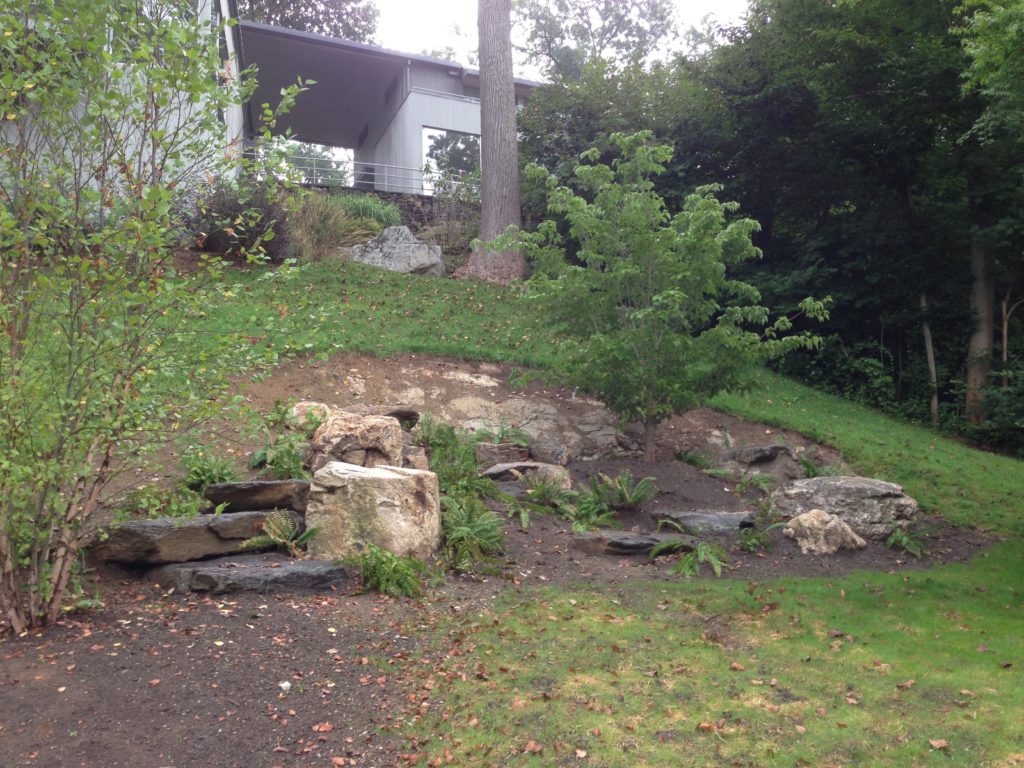 hillside planting with boulders Gossett Brothers Nursery Ltd.